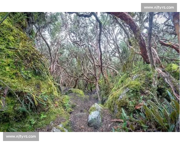 哀牢山脉与其周边生态多样性研究及保护现状分析